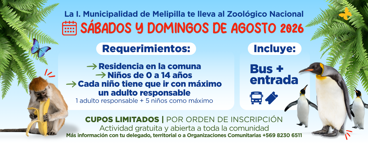 La Municipalidad de Melipilla te lleva al Zoológico Nacional: sábados y domingos de agosto 2026. Requerimientos e incluye bus más entrada. Cupos limitados.